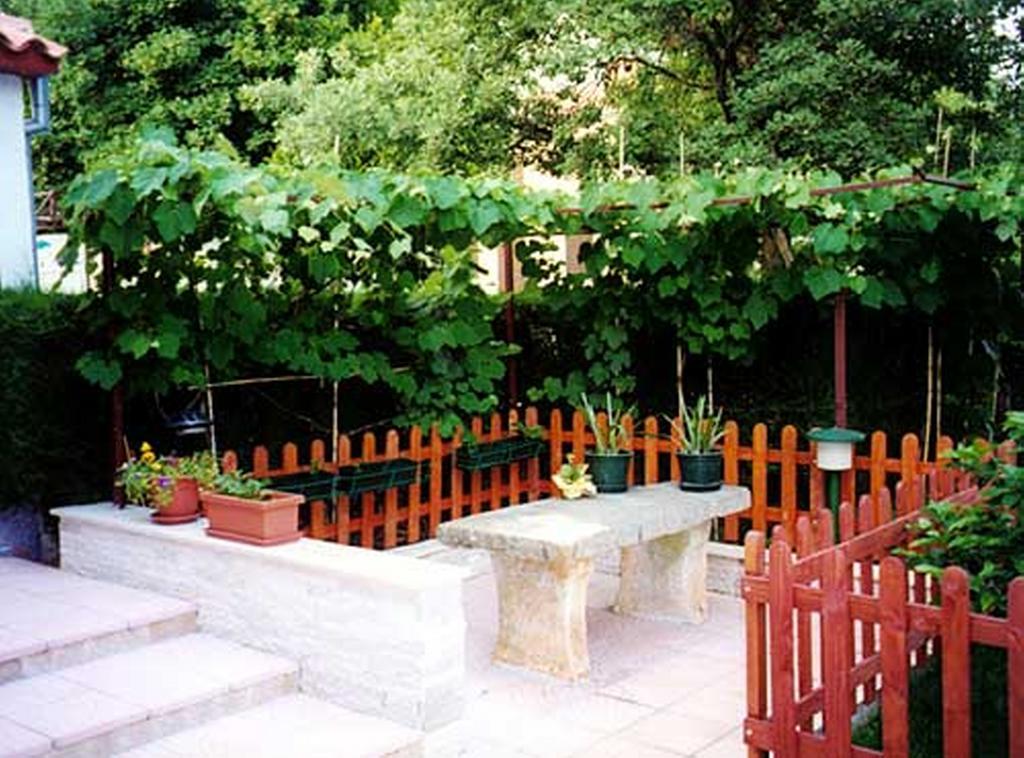Apartment Felix Poreč Exterior foto